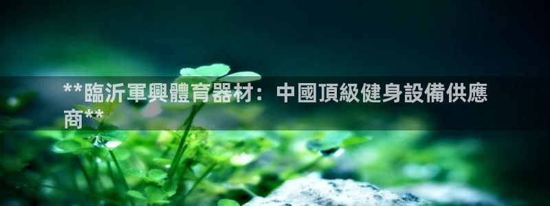 星欧娱乐是正规平台吗安全吗可靠吗：**臨沂軍興體育器