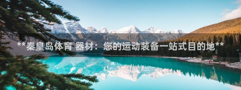 星娱乐是谁的公司：**秦皇岛体育 器材：您的运动装备