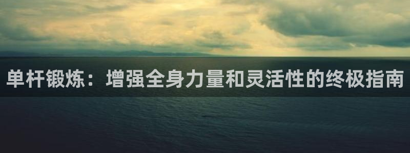 星欧娱乐平台量7O777：单杆锻炼：增强全身力量和灵