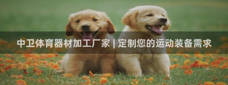 星欧娱乐法711.112怎么扣钱：中卫体育器材加工厂
