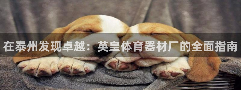 星欧娱乐24小时客服电话：在泰州发现卓越：英皇体育器