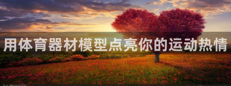 星欧娱乐联游戏评测：用体育器材模型点亮你的运动热情