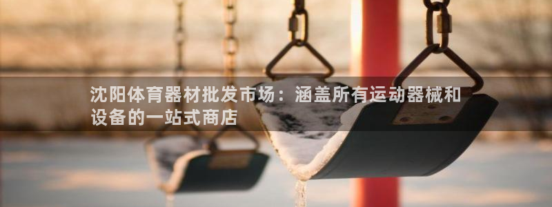 星欧娱乐工711.112怎么没有了：沈阳体育器材批发