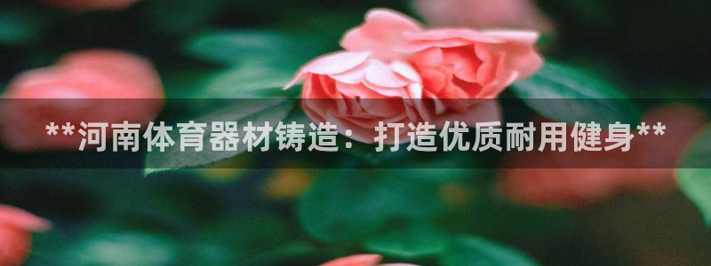 星欧娱乐最建议买的三个产品是什么：**河南体育器材铸