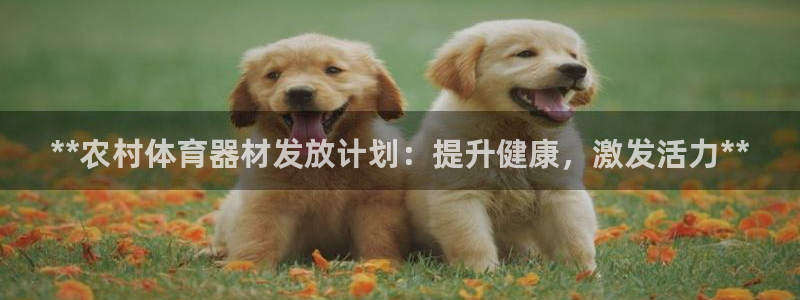 星欧娱乐方7O777：**农村体育器材发放计划：提升