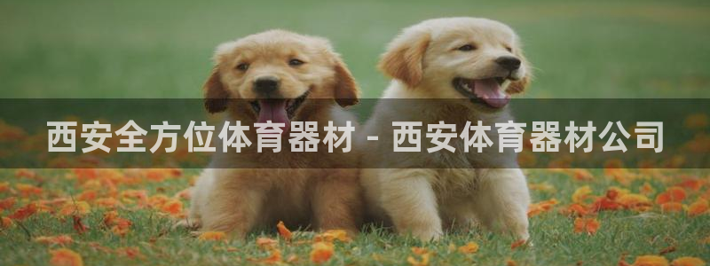 星欧娱乐app最新版本更新内容：西安全方位体育器材 