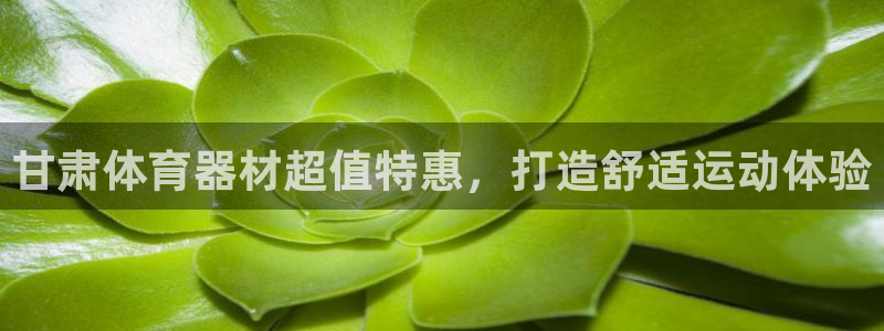 星欧娱乐联售后服务评价：甘肃体育器材超值特惠，打造舒