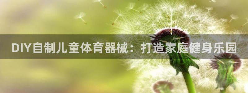 星欧娱乐官网首页：DIY自制儿童体育器械：打造家庭健