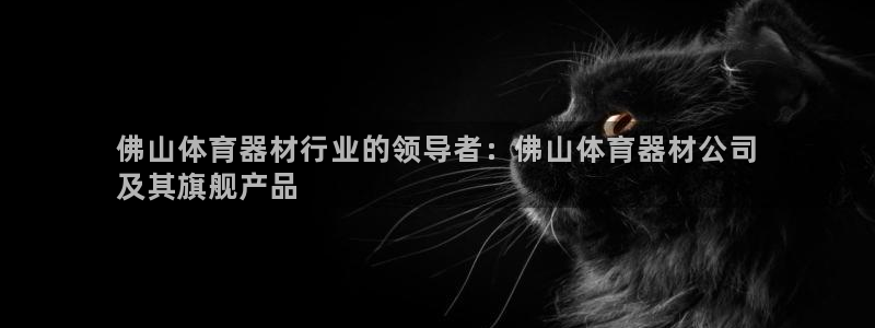 星欧娱乐扣款流程详解视频：佛山体育器材行业的领导者：