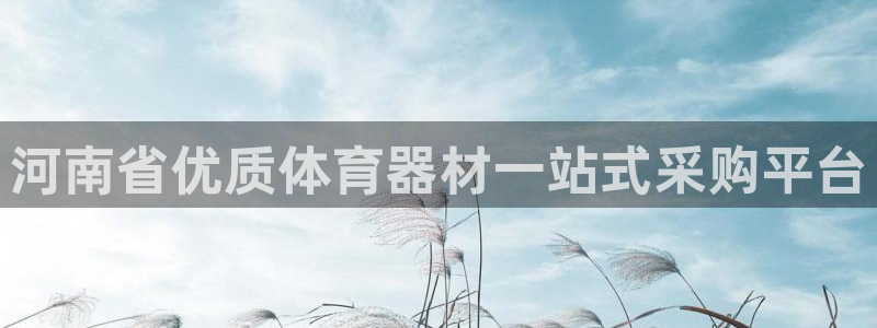 星奥娱乐集团股份有限公司招聘：河南省优质体育器材一站