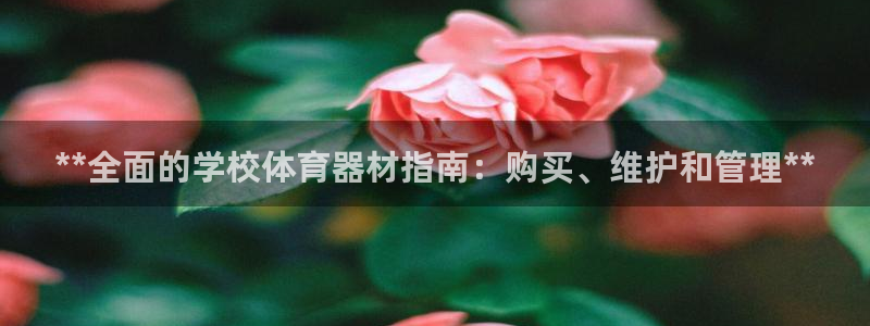 星奥娱乐怎么样：**全面的学校体育器材指南：购买、维