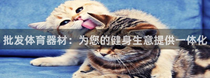 星欧娱乐官网首页：批发体育器材：为您的健身生意提供一