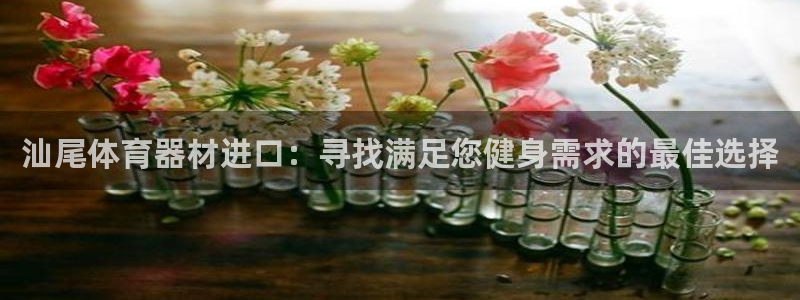星欧娱乐最建议买的三个产品是什么意思：汕尾体育器材进