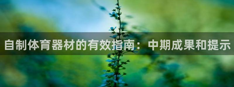 星欧娱乐公司电话号码多少：自制体育器材的有效指南：中