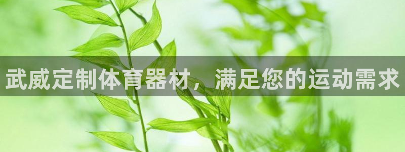 星欧娱乐官网下载：武威定制体育器材，满足您的运动需求