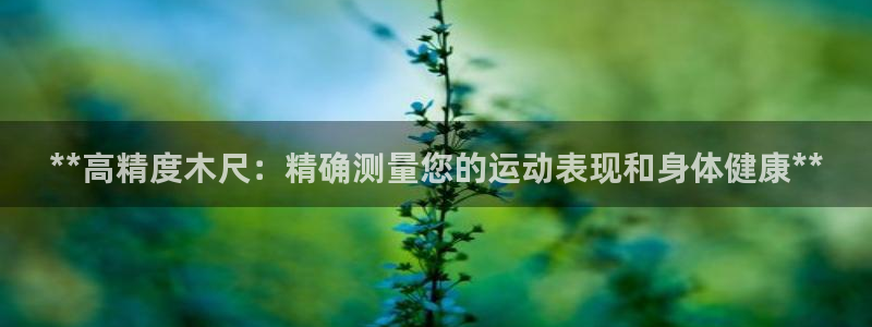 星欧娱乐扣钱步骤详解：**高精度木尺：精确测量您的运