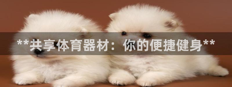 星欧娱乐的创始人背景故事是什么：**共享体育器材：你