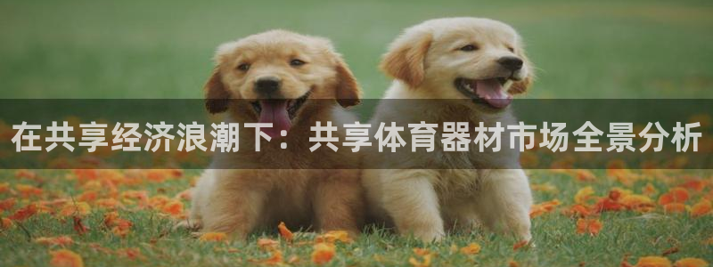 星奥娱乐集团股份有限公司官网：在共享经济浪潮下：共享