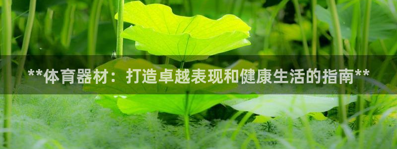 星欧娱乐官网首页下载：**体育器材：打造卓越表现和健