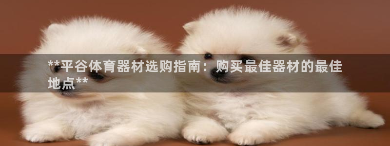 星奥娱乐旗下艺人：**平谷体育器材选购指南：购买最佳