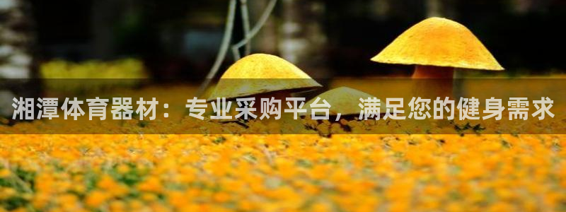 星欧娱乐工711.112扣费通知：湘潭体育器材：专业