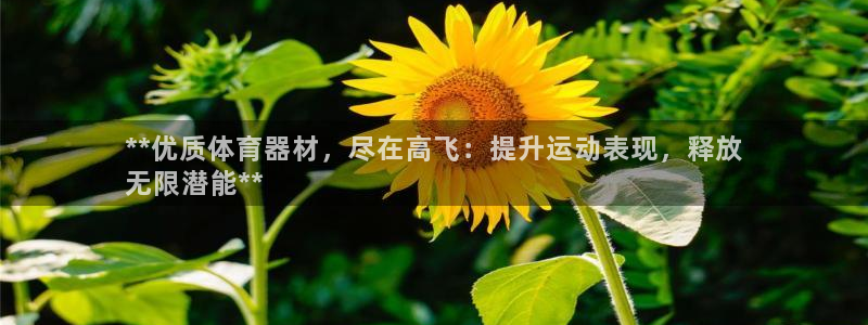 星欧娱乐属于什么档次的软件：**优质体育器材，尽在高