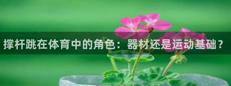 星欧娱乐是正规平台吗知乎：撑杆跳在体育中的角色：器材