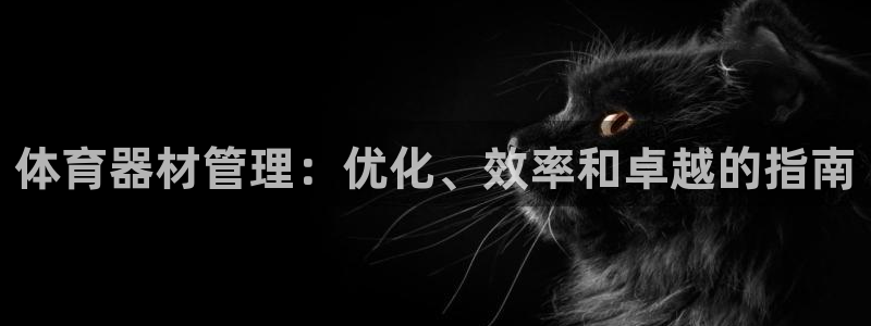 星奥娱乐集团：体育器材管理：优化、效率和卓越的指南