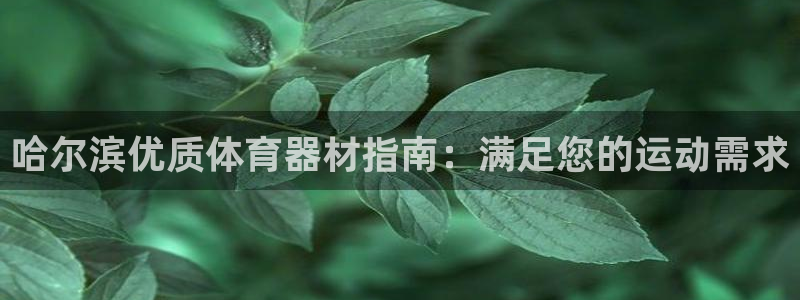 星奥盛典娱乐会所：哈尔滨优质体育器材指南：满足您的运