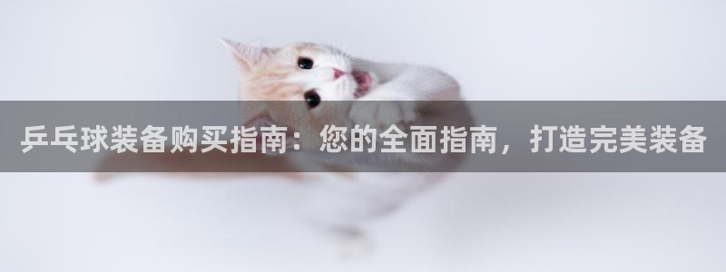 星欧娱乐测速：乒乓球装备购买指南：您的全面指南，打造