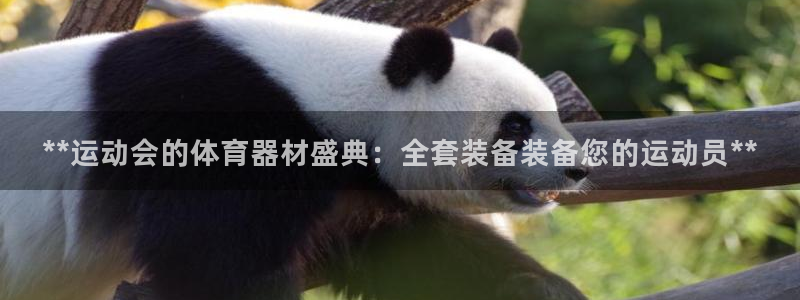 星欧娱乐的官方版本更新内容是什么：**运动会的体育器