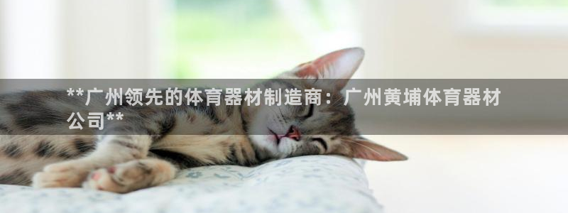 星欧娱乐扣款时间查询方法是什么：**广州领先的体育器