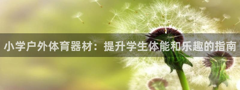 星欧娱乐最建议买的三个产品是：小学户外体育器材：提升