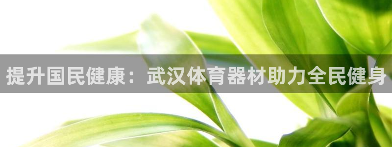 星欧娱乐平台量7O777：提升国民健康：武汉体育器材