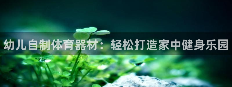星欧娱乐雀V是什么平台：幼儿自制体育器材：轻松打造家