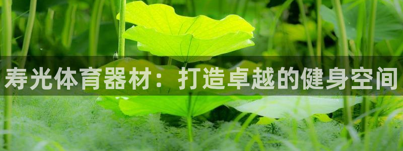 星欧娱乐的创始人背景故事介绍：寿光体育器材：打造卓越