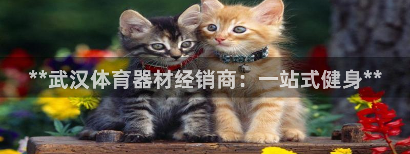 澳星国际娱乐集团：**武汉体育器材经销商：一站式健身