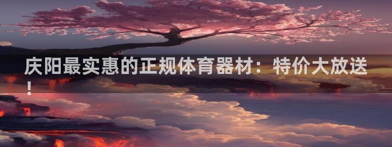 星欧娱乐公司创始人背景故事：庆阳最实惠的正规体育器材