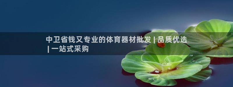 星娱乐文化传媒：中卫省钱又专业的体育器材批发 | 品
