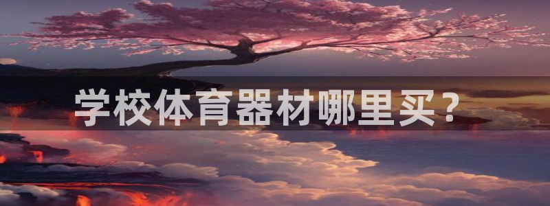 星欧娱乐平台怎么样可靠吗安全吗：学校体育器材哪里买？