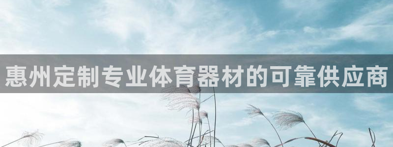 星欧娱乐最建议买的三个产品：惠州定制专业体育器材的可