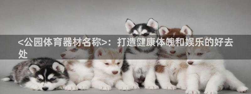星欧娱乐平台怎么样可靠吗知乎：<公园体育器材名称>：