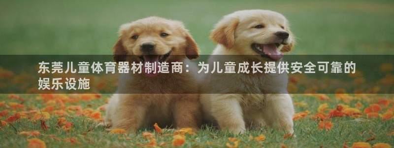 星欧娱乐最建议买的三个产品：东莞儿童体育器材制造商：