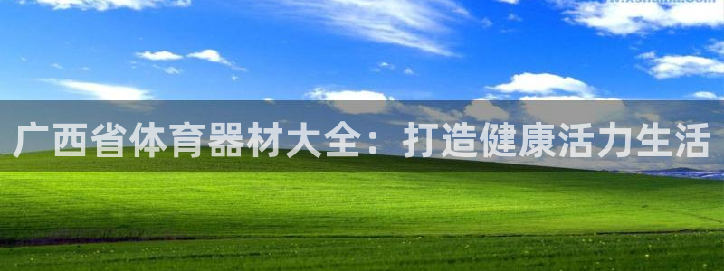 星欧娱乐联游戏评测：广西省体育器材大全：打造健康活力