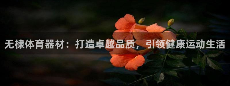 星欧娱乐官网首页下载：无棣体育器材：打造卓越品质，引