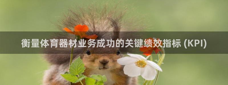 星欧娱乐属于什么档次的网站：衡量体育器材业务成功的关