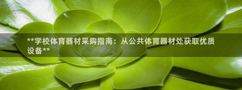 星欧娱乐会员优惠活动：**学校体育器材采购指南：从公