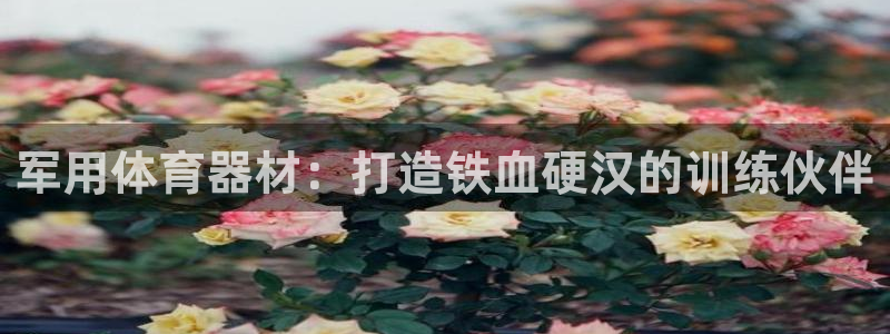 星欧娱乐最建议买的三个产品是什么意思：军用体育器材：