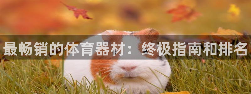 星欧娱乐工711.11是正规的吗：最畅销的体育器材：