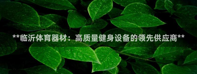 星欧娱乐属于什么档次的软件：**临沂体育器材：高质量